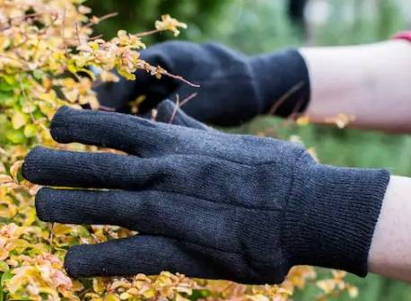Cotton Jersey Gloves